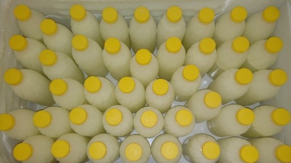 15 Litres de lait d'ânesse bio